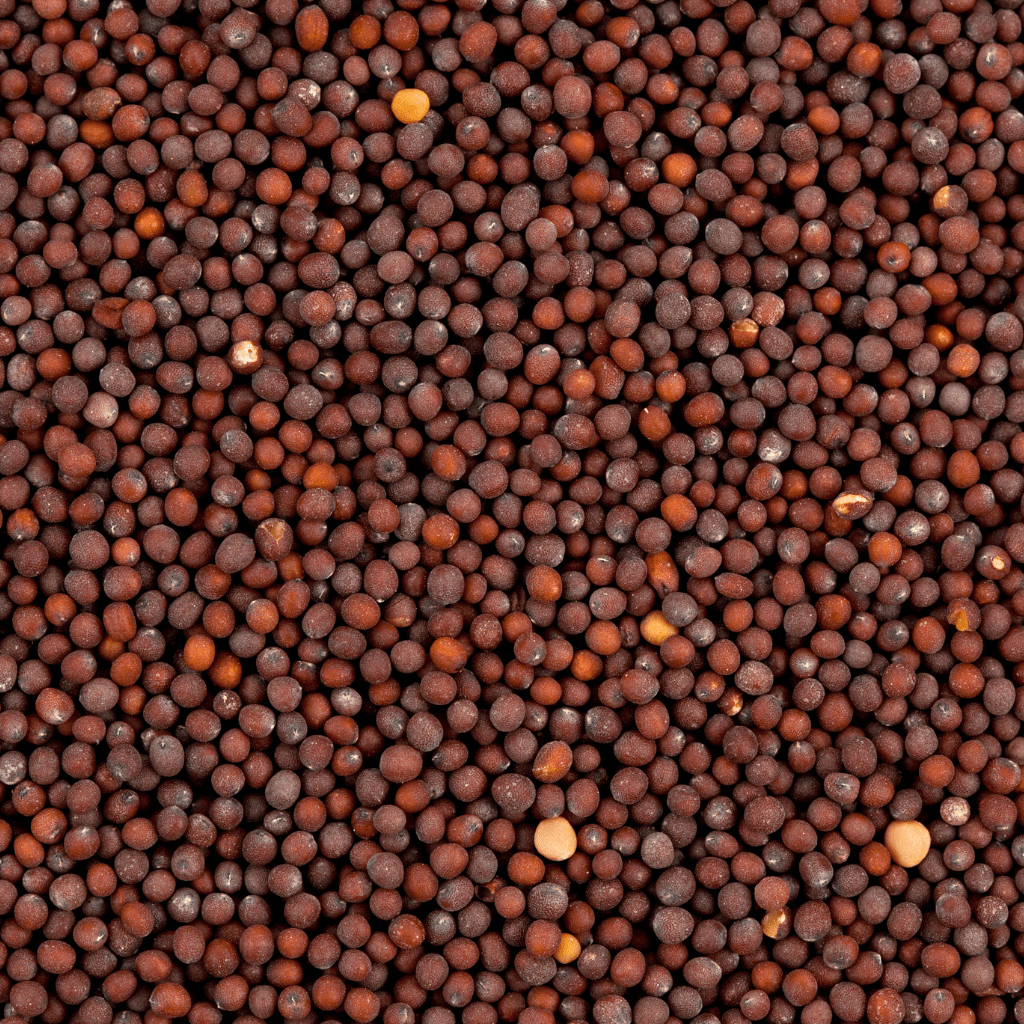mustard seeds